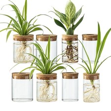 Glass Propagation Stations for Plants -Desktop Flower Vases,Propagation Flowe...