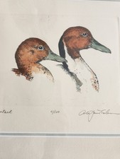 Signed Alan James Robinson "Pintail" Ducks -Hand-Colored Etching