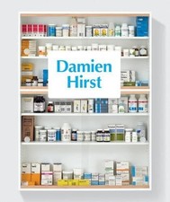 Damien Hirst by Ann Gallagher Book The Cheap Fast Free Post