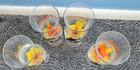 Set Of 4  Vintage Sea World Cocktail 22oz souvenir drinking Glasses With Flowers — photo 3