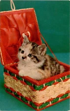 Lusterchrome Postcard by Tichnor Bros., Inc. - K-1832