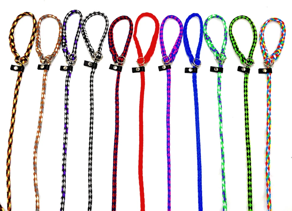 Hundeleine Agilityleine Trainingsleine f. kleine/ mittlere Hunde Retrieverleine - Bild 3 von 3