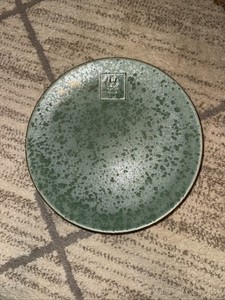 4 Pfaltzgraff Naturewood Serenity Sage Green Dinner Plate with Dragonfly-11 1/8"