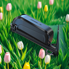 Hailong 52V 20AH Battery for 1000W Motor battery