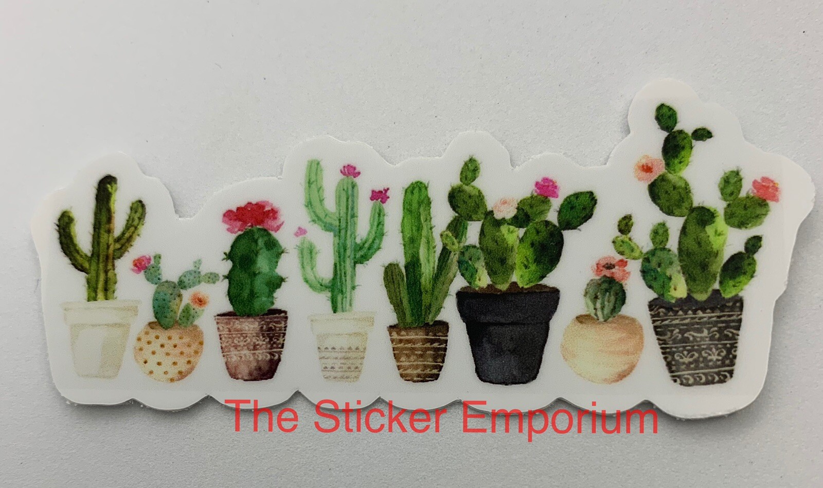 Cactus Cacti Flower Plant Sticker ~ Water Bottle ~ Laptop ~ Tumbler ~Vinyl Decal