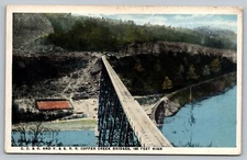 CC & O Copper Creek Bridges Railroad North Carolina NC c1910 Vintage Postcard