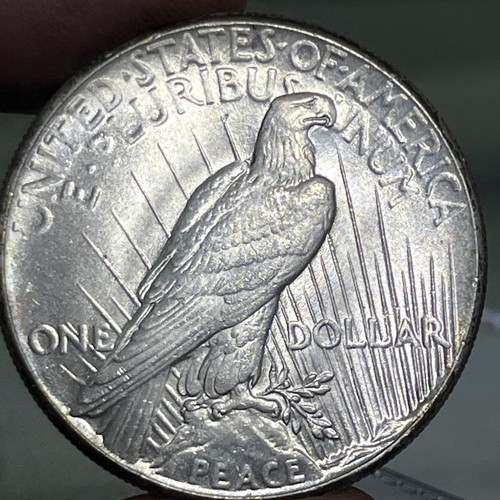 1928-P Philadelphia Peace Silver Dollar $1 BU+ Details (some hairlines) - Picture 6 of 8