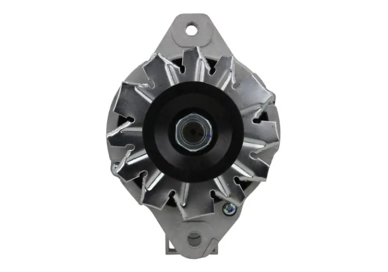 Alternatore 156.006.050.130 BV PSH