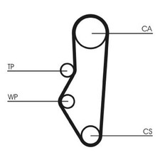 Continental Ctam Zahnriemen-Satz 0831Q7 083116 | 584239