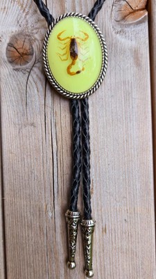 SCORPION WHITE GLOW IN THE DARK AND SILVER OVAL COWBOY BOLOTIE WESTERN BOLO TIE