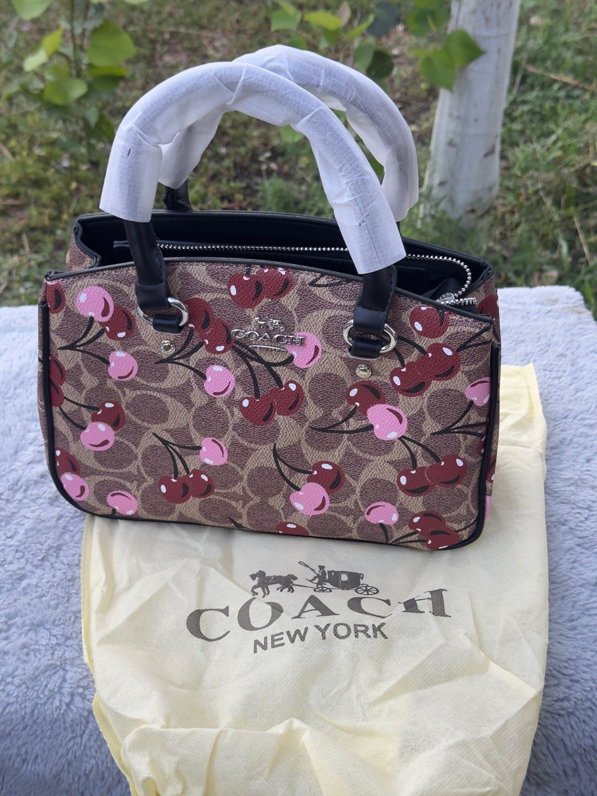 NWT Coach Mini Tote in Signature Canvas with Cherry Print CY737 🍒