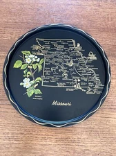 Vintage metal plate Missouri 11” state flower Downy Hawthorn
