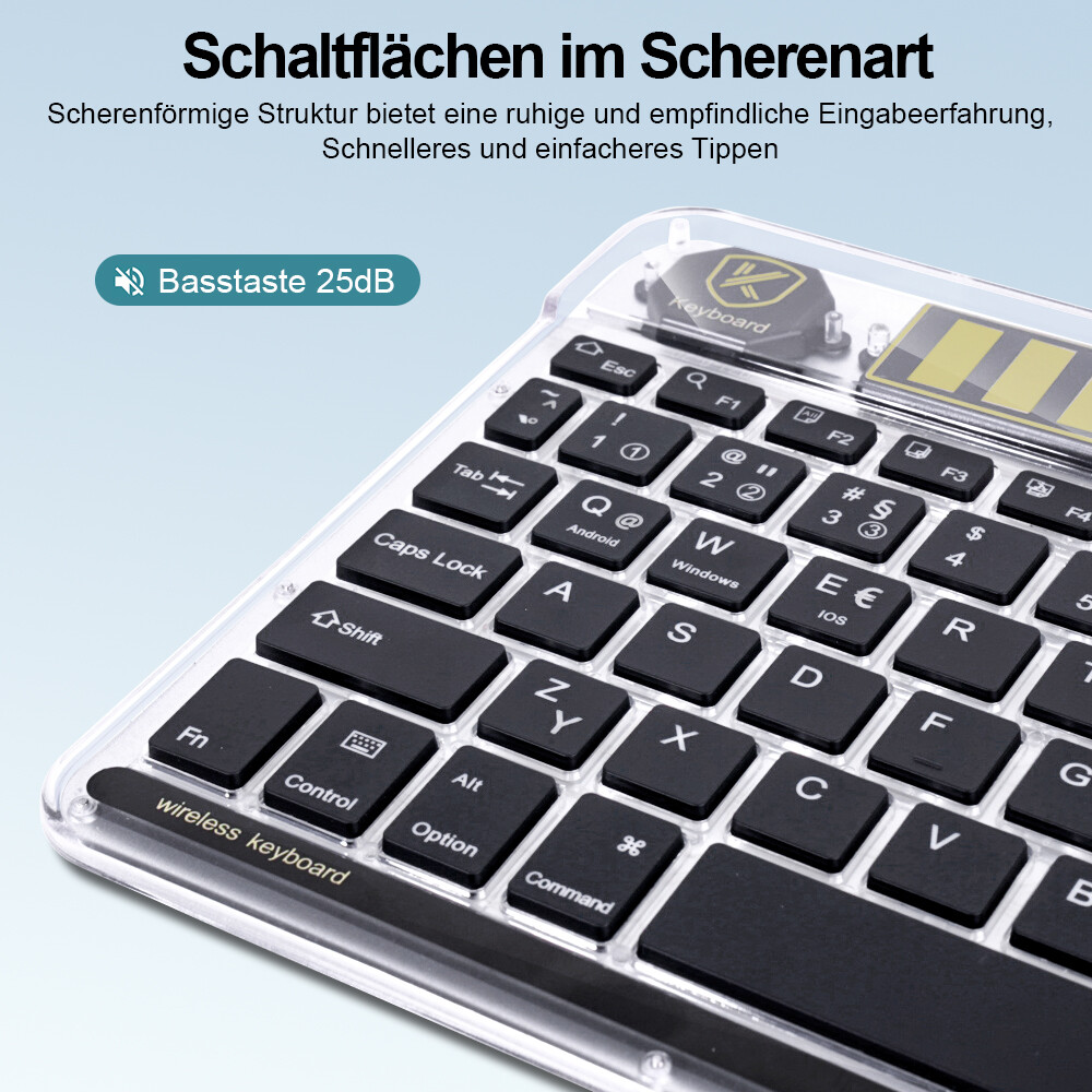 Bild 6 von 14