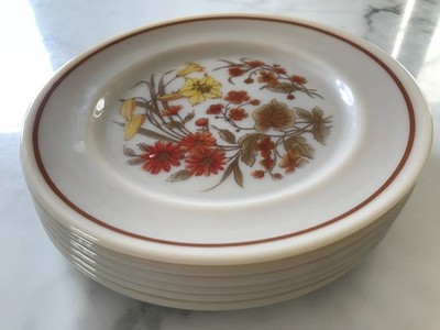 Vintage Pyrex Ernte Spray Salatteller 6er Set