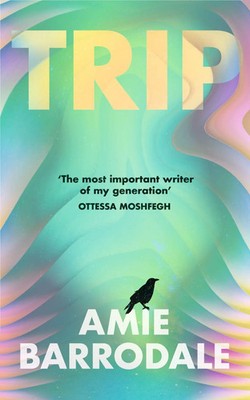 Trip | Amie Barrodale | Taschenbuch | Englisch | 2026 | Random House UK Ltd