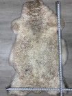 Bild 10 von 11