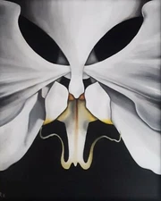 Fine Art Oil Painting White Orchid Flower Abstract Contemporary