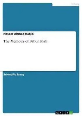 The Memoirs of Babur Shah Naseer Ahmad Habibi Taschenbuch 24 S. Englisch 2013