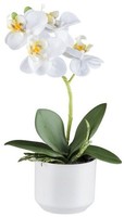Artplants Kunst Phalaenopsis Orchidee Werkan, Keramiktopf, Weiß, 27Cm