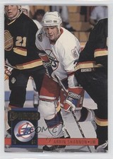 1993-94 Donruss Darrin Shannon #388 0w8