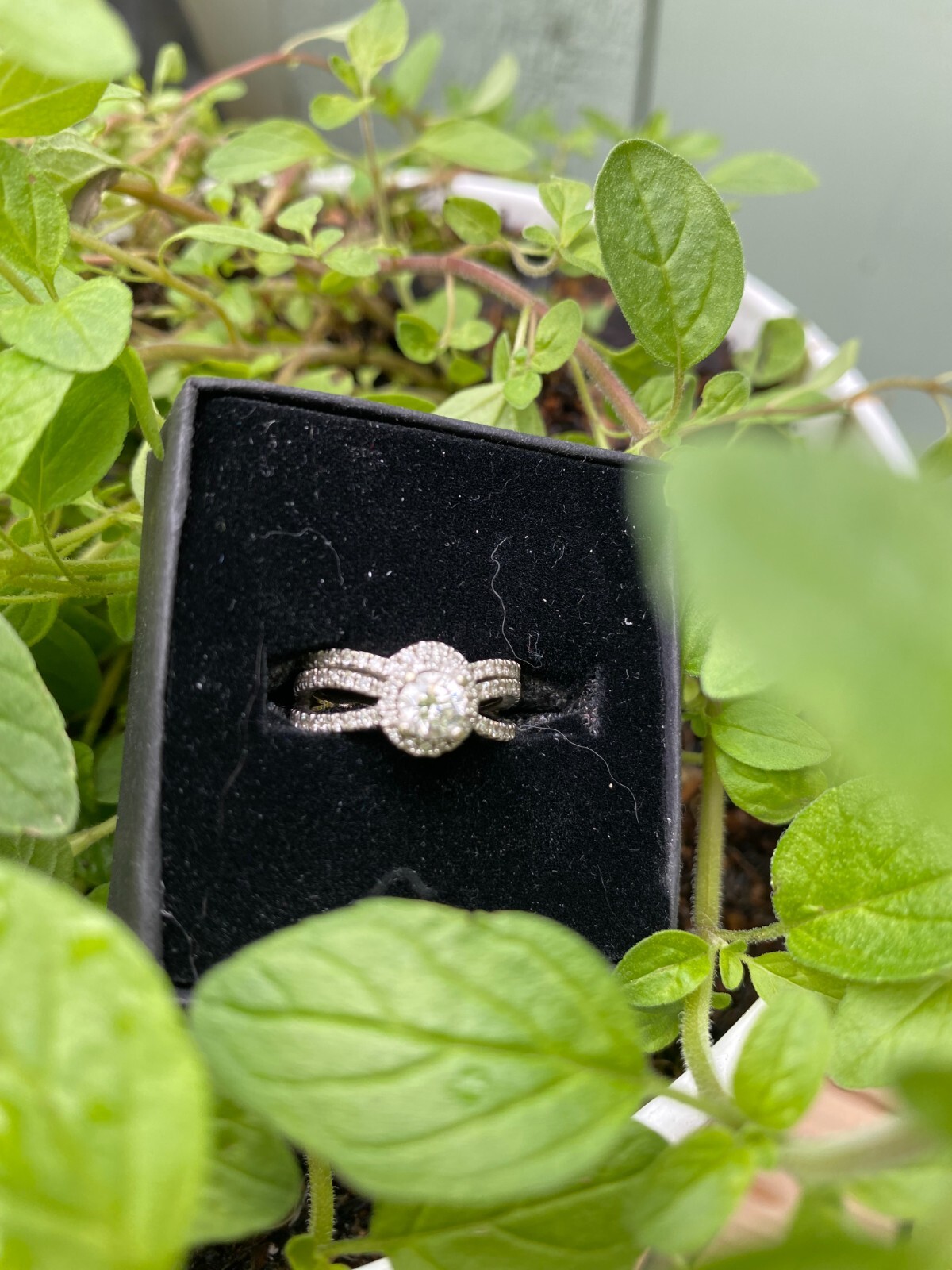 Experience timeless elegance with this stunning p… - image 1