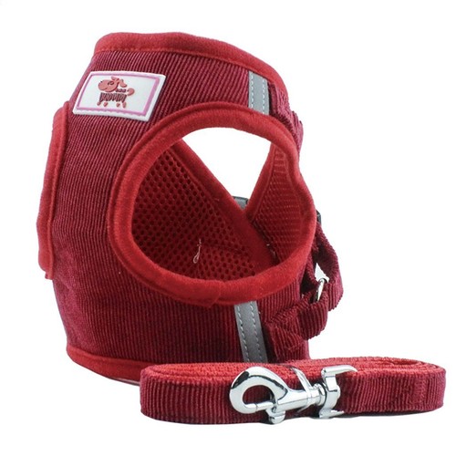 Imbracatura per Cani Gatti Cuccioli + Guinzaglio di Piombo Qualità Pet Mesh Gilet Riflettente Regolabile - Foto 16 di 19