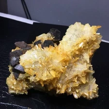 2.59LB Natural citrine Quartz cluster Black iron ore mineral energy healing