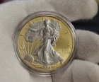 2004 US Silver Eagle $1 Gold/Platinum Highlights Unc