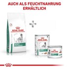 Bild 9 von 10