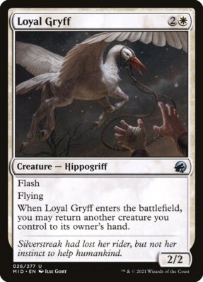 MTG Magic the Gathering Loyal Gryff (26/549) Innistrad Midnight Hunt LP