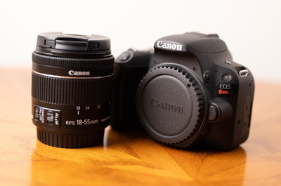 Canon EOS Rebel SL2 24.2 MP Digital Camera w/EF-S 18-55mm f/4-5.6 IS STM Lens