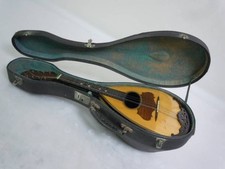  Mandolin SILVESTRI CATANIA Catania Italy