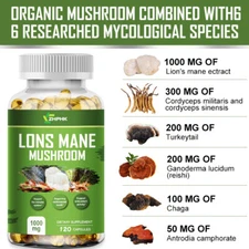 Herbal Supplement Organic Lion's Mane Mushroom 1000mg | Vegetarian | 120 Capsule