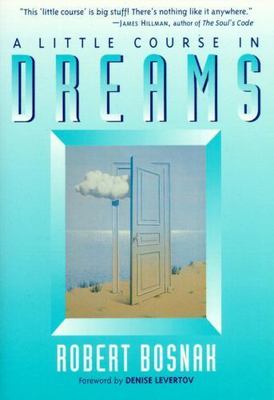 Little Course in Dreams by Robert Bosnak (1998, Trade Paperback)