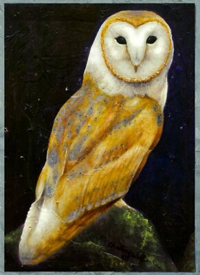 Canvas Wraps Designed From My Original Painting ''Night Eyes''