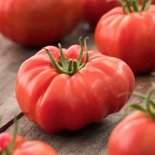 Watermelon Beefsteak Tomato 300 Seeds, Organic 