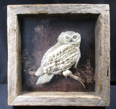 Framed 3D Paper Art Shadow Box - Artist Unknown - Owl on Branch - 9.5'' Square