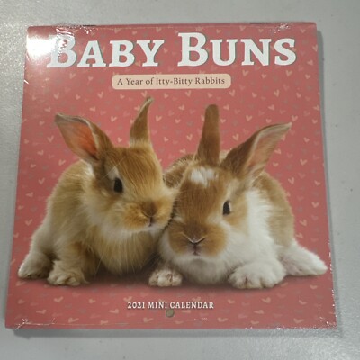 Baby Bunny Calendar 2021 Collectable Craft Gifts Monthly Wall Calender 12 Month