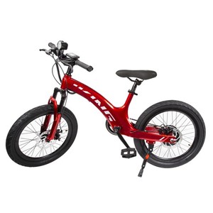 Bicicletta Elettrica 25 Km/h Bicicletta Elettrica Fuoristrada Per Adolescenti