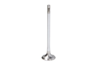 Einlassventil FRECCIA R6771/SCR