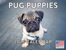 Pug Puppy Calendar 2026 Monthly Wall Calender 12 Month