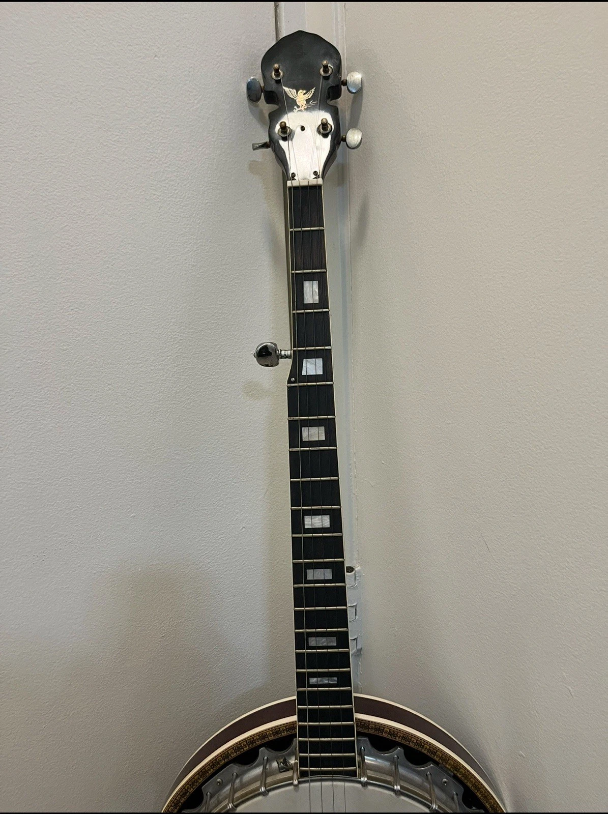 Picture 5 of 24