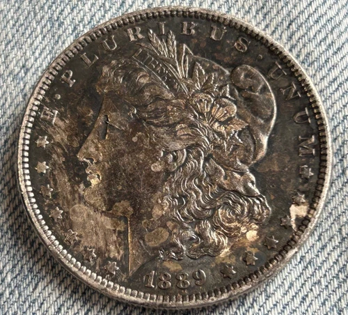 1889 Morgan Silver Dollar Toned Obverse & Reverse: UNC