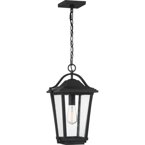 Darius 1-Light Outdoor Hanging Lantern in Earth Black - Picture 1 of 7