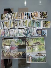 Lotto 280 Figurine Panini Il Libro della giungla Tutte Diverse Anno 1983