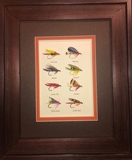 8 Framed and Mounted Wet Flies