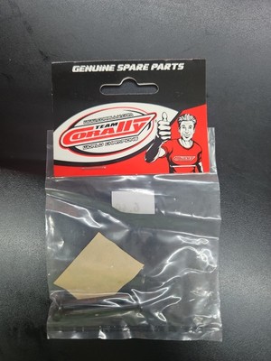 Corally 00180-305  Center Roll Cage Pin - Steel - 2 pcs: Dementor, Kronos, (G10)