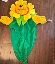 NWT Winnie the Pooh Sunflower Costume 0-3 Months, Halloween, Disney Store