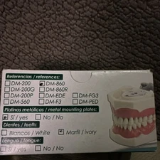 Dental Anatomy Typodont Educational Model DM-860 with Columbia Removable Teeth..