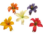 2" Multi Lily Silk Flower Hair Clip 5 Piece Lot — photo 3